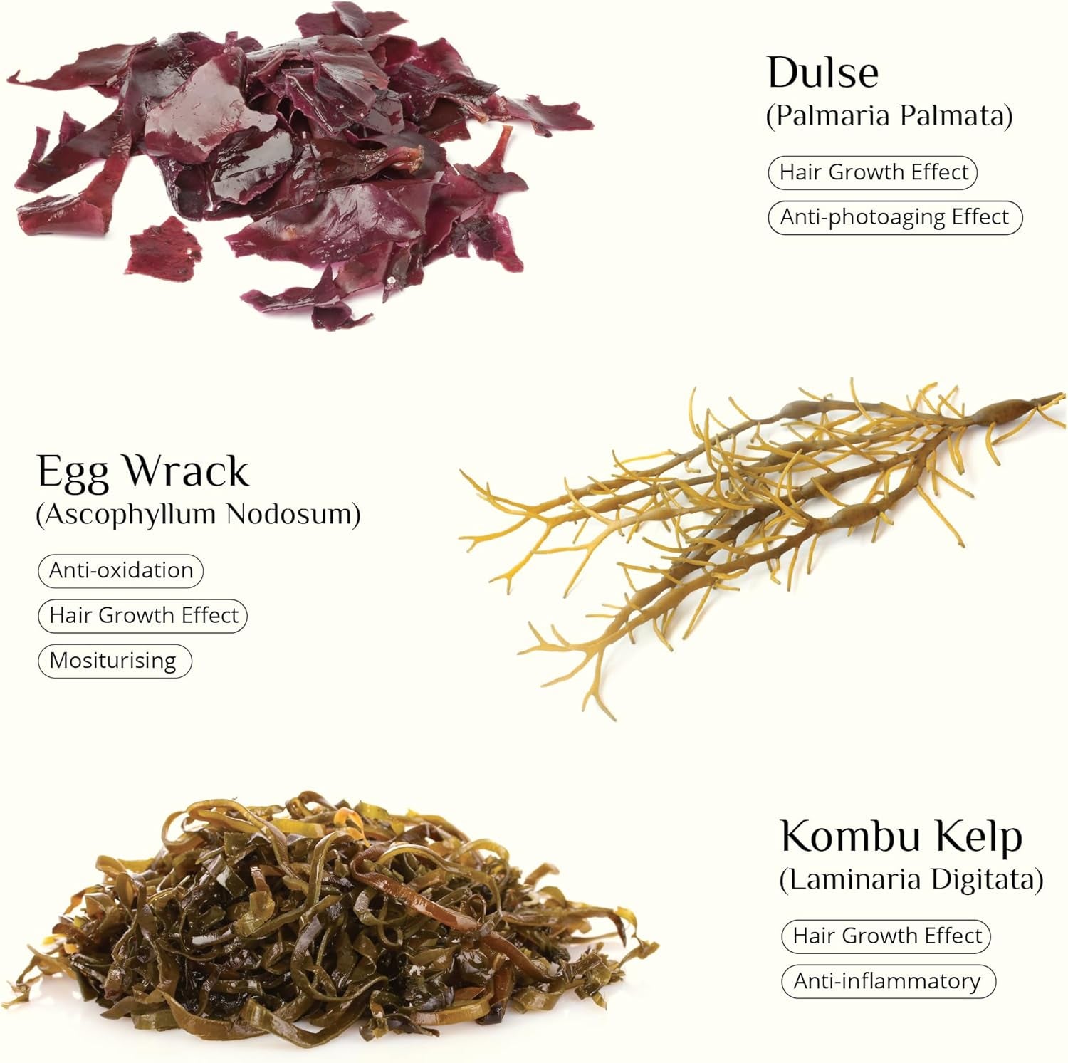 Seaweed Skinfood Face Cream, Luxurious Hydration with Natural Seaweed Extract, Organic Rosehip, Vitamin E, Nourishing Day Cream, All Skin Types, 30G, DIANA DRUMMOND