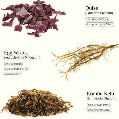 Seaweed Skinfood Face Cream, Luxurious Hydration with Natural Seaweed Extract, Organic Rosehip, Vitamin E, Nourishing Day Cream, All Skin Types, 30G, DIANA DRUMMOND